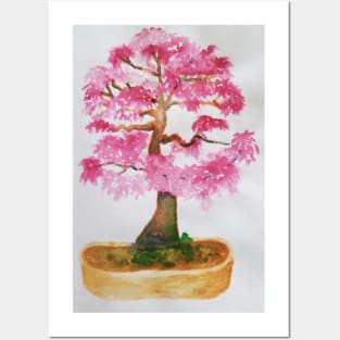 Bonsai Posters and Art